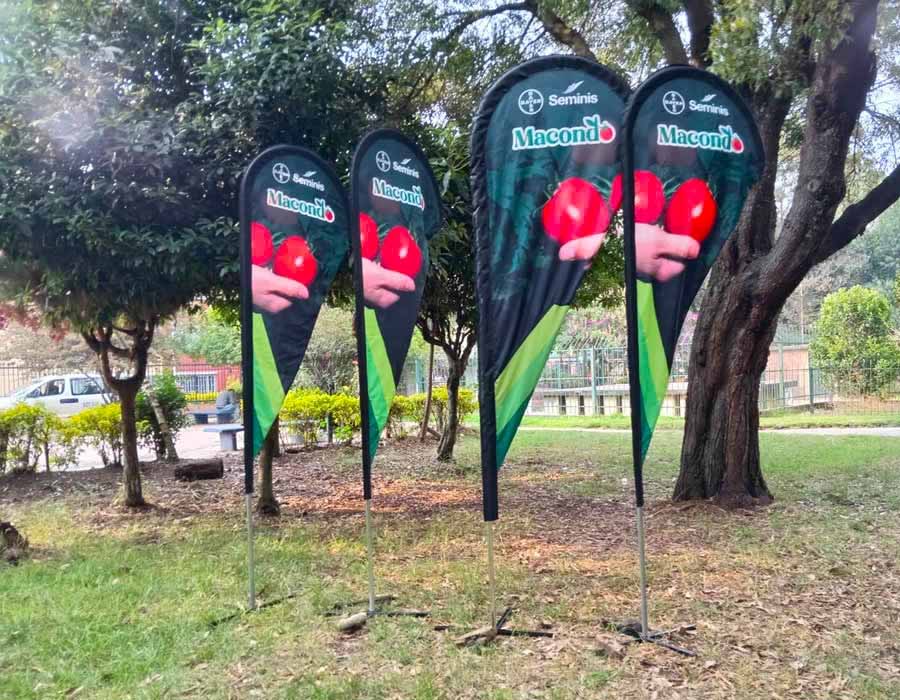 Tipos de banderas publicitarias: descubre cuál es la ideal para tu marca